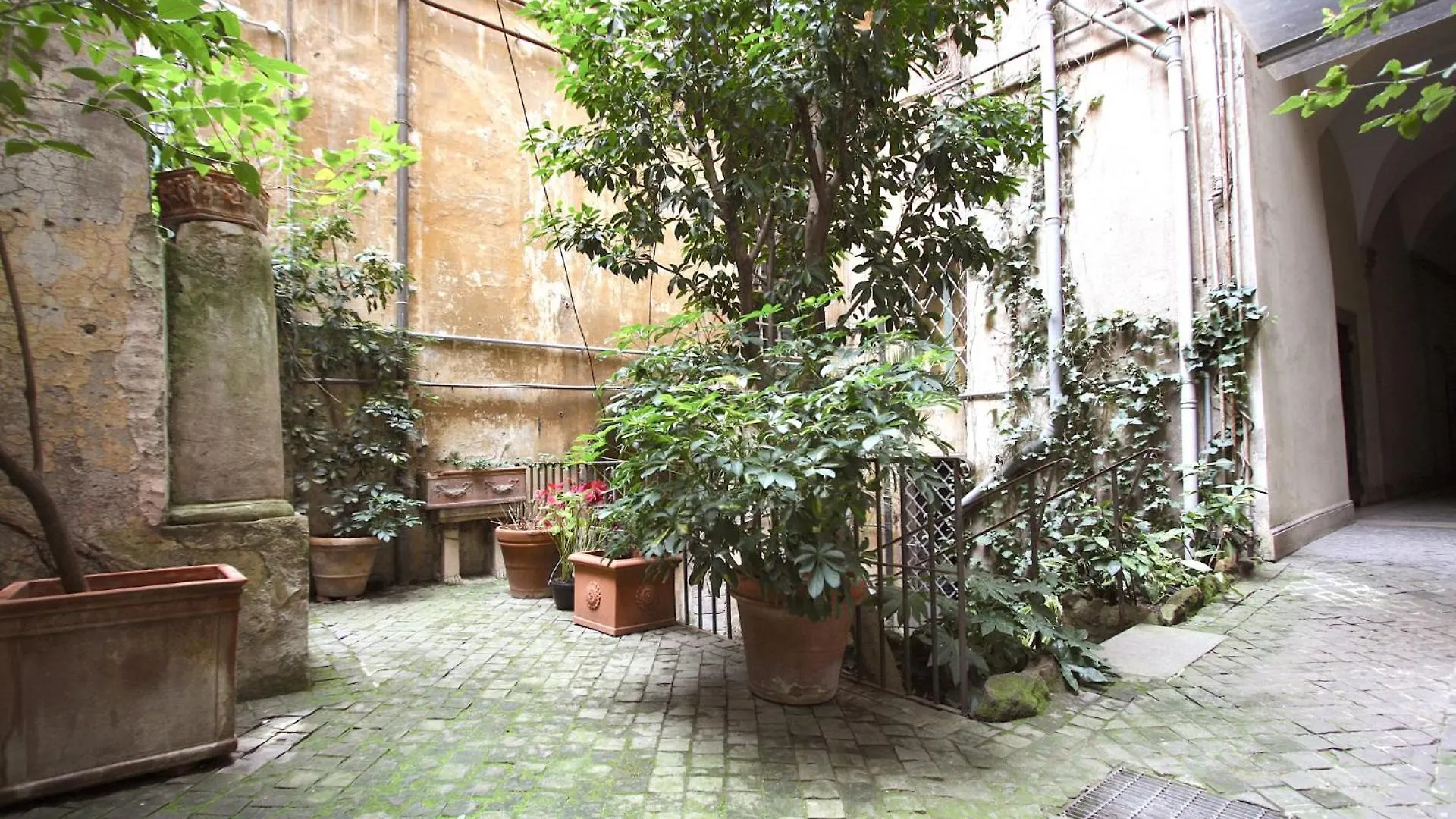 Apartment Navona Large 1Br Holiday House Rome Italy